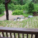 무릉도원면-20 이미지