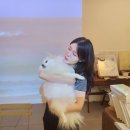 데일리 게임존 코인 노래연습장 | 성신여대 데이트 코스 &amp; 놀거리 추천!❤️ 드로잉카페 &lt;빛의 화실&gt;🎨, 보드게임카페 &lt;레드버튼&gt;
