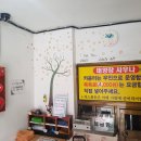 태양장 이미지