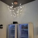 리버무인텔 이미지