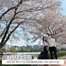 합도초등학교 이미지