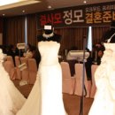 돼지엄마 머니투데이