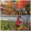 느티나무길>금강공원길 | 금강공원 단풍 -부산 단풍 명소, 곱게 물든 산책로 / 금정산 케이블카 타고 온 후기