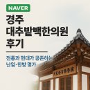 현대한의원 | 경주 대추밭백한의원 후기 – 전통과 현대가 공존하는 난임·한방 명가