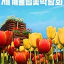 태안 튤립축제 안면도 가볼만한곳 태안 꽃박람회 태안꽃축제 먹거리 이미지
