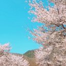 산내별빛오토캠핑장 이미지