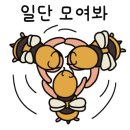 꿀벌상점