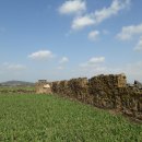 하모리-4 이미지