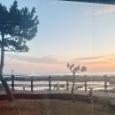 신포항농협하나로마트송라 | 포항 오션뷰 바다전망 숙소 : 더케이프풀빌라 '해로' 1박2일 후기 (주차,바베큐,편의 등)