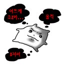 졔졔샵