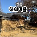버스터미널 관광안내소 | 안동 관광지 하회마을 입장료 셔틀버스 카페
