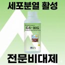 지에스(GS)25 금천나래점 | 지에스빅(GS-빅) 500ml(도프) - 초기 세포분열의 최강자