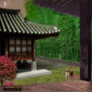 기억의 집-우리 이미지