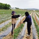 정읍시농업기술센터