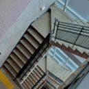 아라리오 이미지