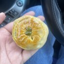 카페아낙466 이미지