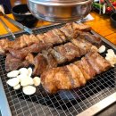 수영농장 이미지