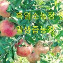 홍천염소농장 이미지