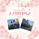 순천향대학교 | 충남 아산 벚꽃명소 순천향대학교 아산캠퍼스 방문후기