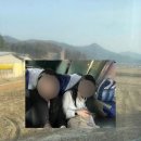개꿀잼 군산 여행