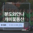 분도와안나 개미꽃동산 이미지