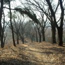 두정역길 이미지