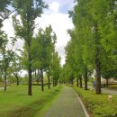 새힘컨설팅 이미지