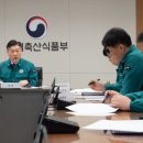 33동 이미지
