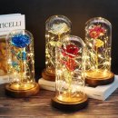 장미인테리어 이미지