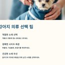 퍼피 바잇(PUPPY BITE) | 🦴 강아지 옷 쇼핑몰 추천｜트렌디한 강아지 의류 BEST 5