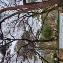 공단공원앞(42739) | 부산의 대격변 금정산 국립공원 승격 후 범어사 방문 후기 주차 명소 완벽 정리