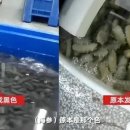 해삼