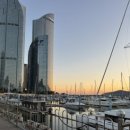 광안3-307 | 해운대] 부산요트투어 &#39;요트와&#39; 부산 데이트코스 추천 (주차, 할인 및 가격, 반려동물, 투어 안내 및 후기)