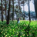 대전시전 [Daejeon City Contest] 이미지