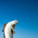 대광해수욕장 이미지