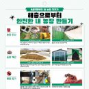 지금,돼지 이미지