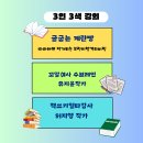 더블와이파파 와이즈 카페 기획 3인 3색 강의 후기