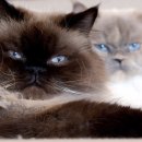 전주종합타이어 이미지