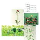 갤러리아이티 이미지