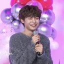 왈왈이 - 원주시 | 왈왈이