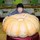 유천1경로당 이미지