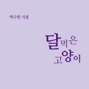 달과고양이 이미지