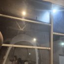 캠프테크 | [아이랑 캠핑] 아이들과 여름 캠핑 또 성공! 포천 물레캠프 다녀온 리얼후기 (서울근교캠핑장 추천)