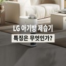 LG DQ203PECA 아기방 제습기 대신 DQ185MWGA가 좋은 이유