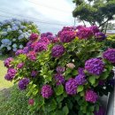 서연하우스 이미지