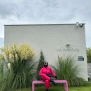 하이멍 애견카페 이미지