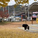 삼동초등학교 이미지