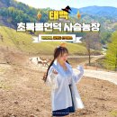 자연-꽃 | 강원도 아이랑 놀러 갈만한곳 태백 관광지 초록뿔언덕 사슴농장
