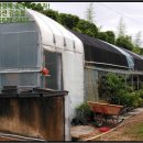 산호동313 이미지