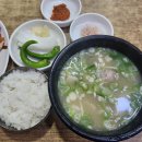 돼지국밥 이미지